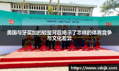 星空综合(中国)官方网站