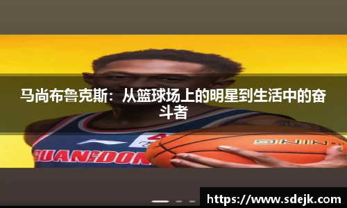 星空综合(中国)官方网站