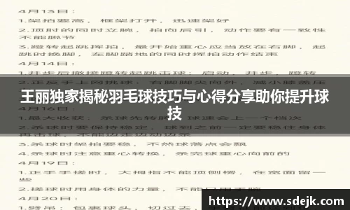 王丽独家揭秘羽毛球技巧与心得分享助你提升球技
