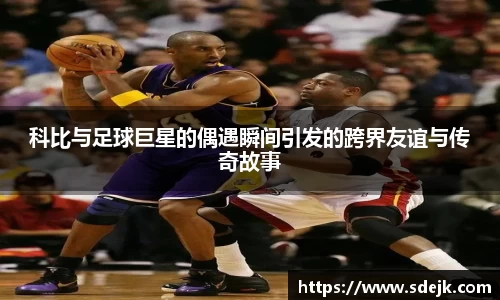 星空综合(中国)官方网站